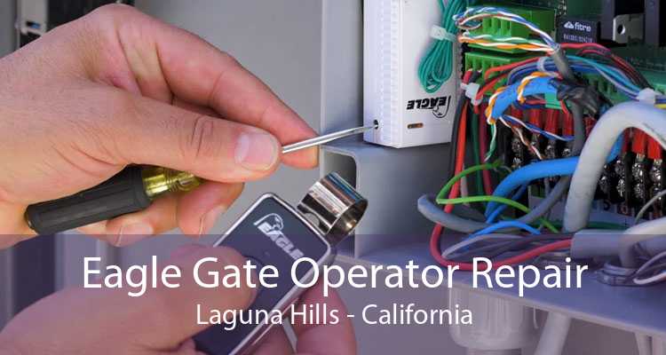 Eagle Gate Operator Repair Laguna Hills - California